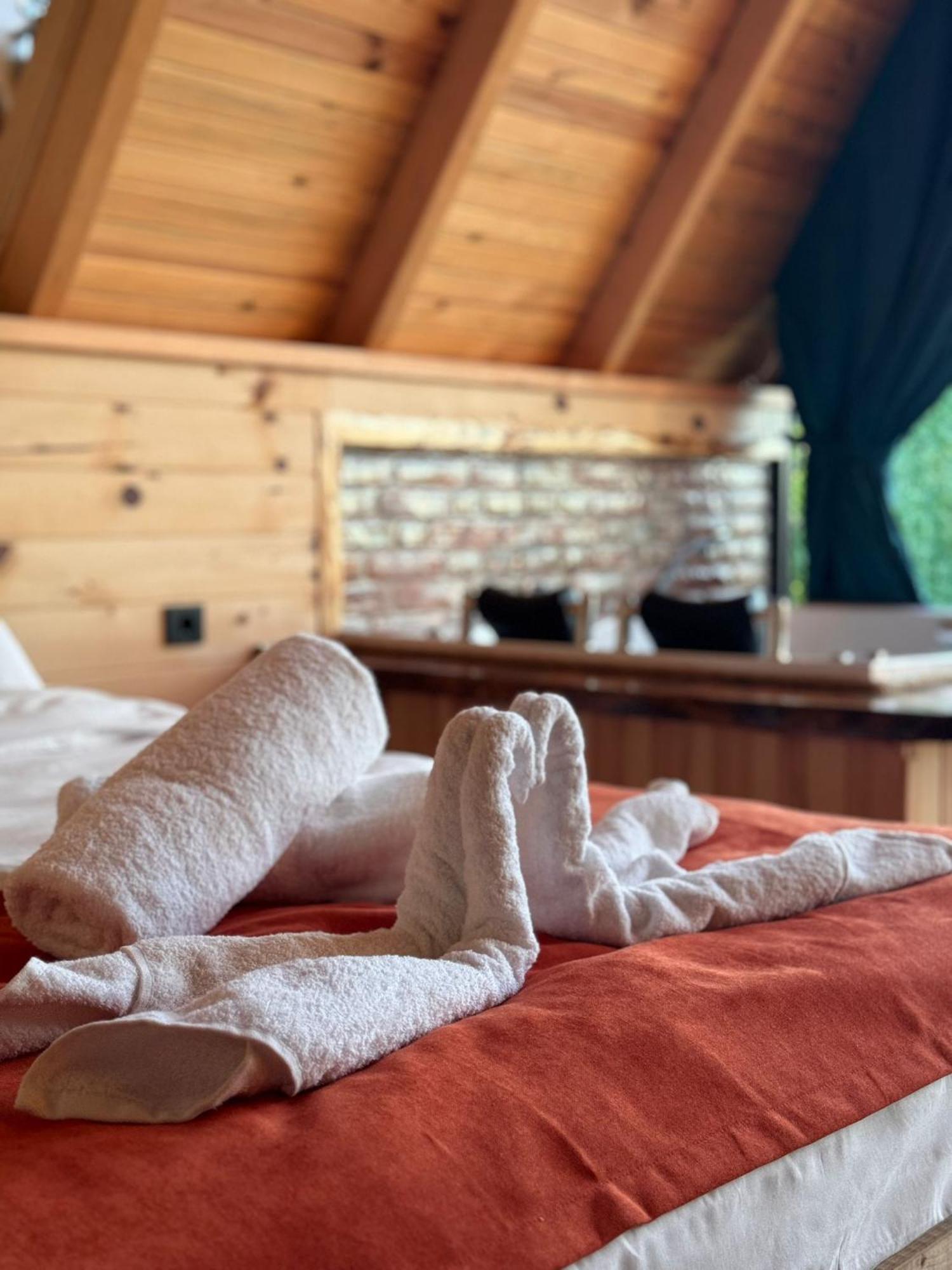 Dvabi Suit Bungalov Çamlıhemşin Exteriér fotografie
